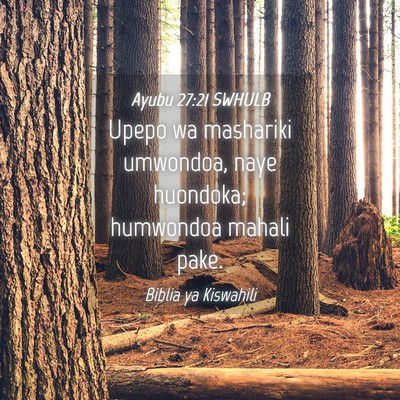 Picture 04 - Ayubu 27:21 SWHULB - Upepo wa mashariki umwondoa, naye huondoka; - Bible Verse Picture