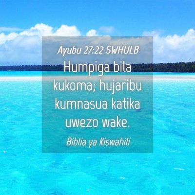Picture 04 - Ayubu 27:22 SWHULB - Humpiga bila kukoma; hujaribu kumnasua katika - Bible Verse Picture