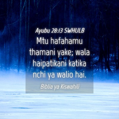 Picture 04 - Ayubu 28:13 SWHULB - Mtu hafahamu thamani yake; wala haipatikani - Bible Verse Picture