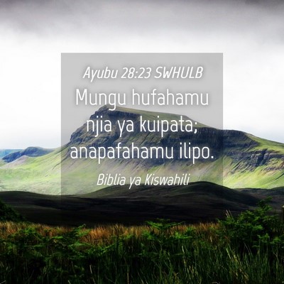 Picture 04 - Ayubu 28:23 SWHULB - Mungu hufahamu njia ya kuipata; anapafahamu - Bible Verse Picture