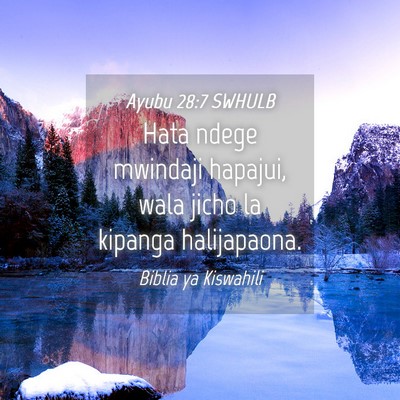 Picture 04 - Ayubu 28:7 SWHULB - Hata ndege mwindaji hapajui, wala jicho la - Bible Verse Picture