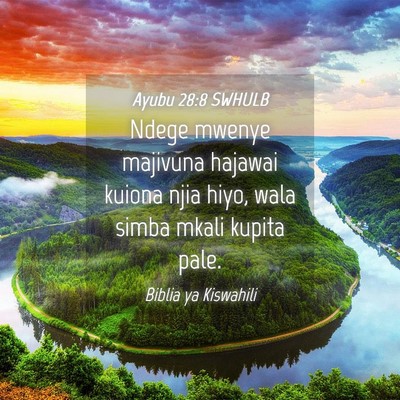 Picture 04 - Ayubu 28:8 SWHULB - Ndege mwenye majivuna hajawai kuiona njia hiyo, - Bible Verse Picture