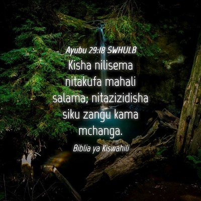Picture 04 - Ayubu 29:18 SWHULB - Kisha nilisema nitakufa mahali salama; - Bible Verse Picture