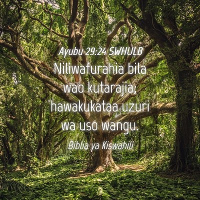 Picture 04 - Ayubu 29:24 SWHULB - Niliwafurahia bila wao kutarajia; hawakukataa - Bible Verse Picture
