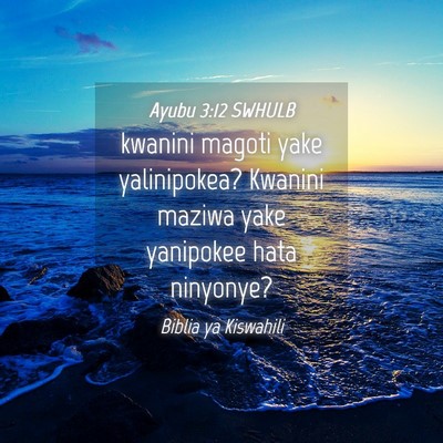 Picture 04 - Ayubu 3:12 SWHULB - kwanini magoti yake yalinipokea? Kwanini maziwa - Bible Verse Picture