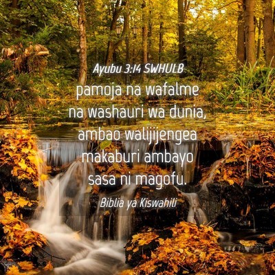 Picture 04 - Ayubu 3:14 SWHULB - pamoja na wafalme na washauri wa dunia, ambao - Bible Verse Picture