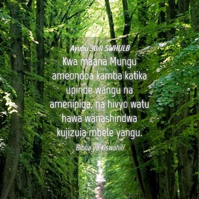 Picture 04 - Ayubu 30:11 SWHULB - Kwa maana Mungu ameondoa kamba katika upinde - Bible Verse Picture