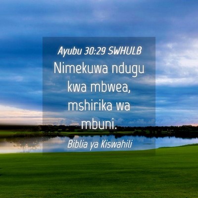 Picture 04 - Ayubu 30:29 SWHULB - Nimekuwa ndugu kwa mbwea, mshirika wa - Bible Verse Picture