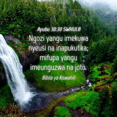 Picture 04 - Ayubu 30:30 SWHULB - Ngozi yangu imekuwa nyeusi na inapukutika; mifupa - Bible Verse Picture