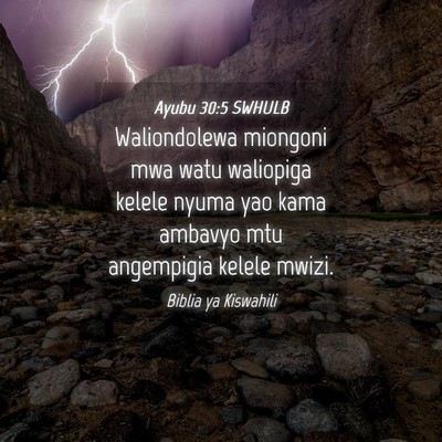 Picture 04 - Ayubu 30:5 SWHULB - Waliondolewa miongoni mwa watu waliopiga kelele - Bible Verse Picture