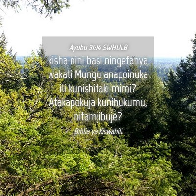 Picture 04 - Ayubu 31:14 SWHULB - kisha nini basi ningefanya wakati Mungu - Bible Verse Picture