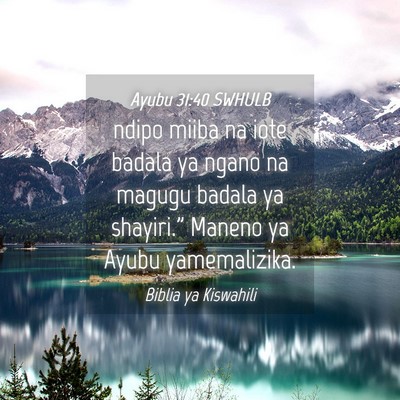 Picture 04 - Ayubu 31:40 SWHULB - ndipo miiba na iote badala ya ngano na magugu - Bible Verse Picture