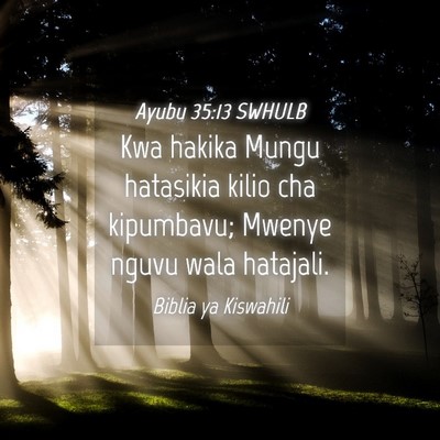 Picture 04 - Ayubu 35:13 SWHULB - Kwa hakika Mungu hatasikia kilio cha kipumbavu; - Bible Verse Picture