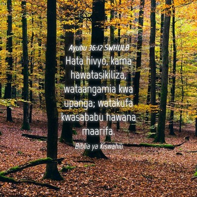 Picture 04 - Ayubu 36:12 SWHULB - Hata hivyo, kama hawatasikiliza, wataangamia kwa - Bible Verse Picture