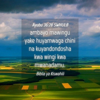 Picture 04 - Ayubu 36:28 SWHULB - ambayo mawingu yake huyamwaga chini na - Bible Verse Picture