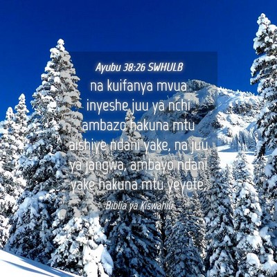 Picture 04 - Ayubu 38:26 SWHULB - na kuifanya mvua inyeshe juu ya nchi ambazo - Bible Verse Picture
