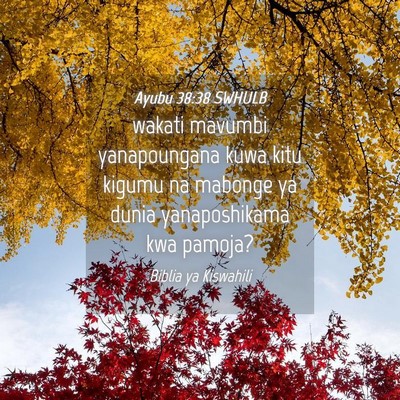 Picture 04 - Ayubu 38:38 SWHULB - wakati mavumbi yanapoungana kuwa kitu kigumu na - Bible Verse Picture