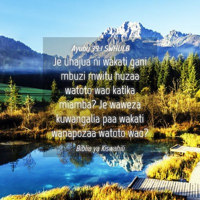 Picture 04 - Ayubu 39:1 SWHULB - Je unajua ni wakati gani mbuzi mwitu huzaa watoto - Bible Verse Picture