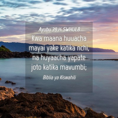 Picture 04 - Ayubu 39:14 SWHULB - Kwa maana huuacha mayai yake katika nchi, na - Bible Verse Picture