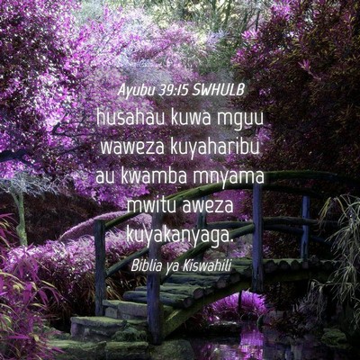Picture 04 - Ayubu 39:15 SWHULB - husahau kuwa mguu waweza kuyaharibu au kwamba - Bible Verse Picture
