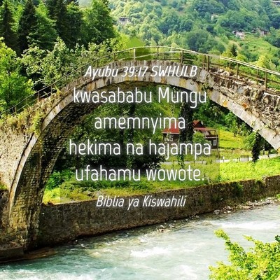 Picture 04 - Ayubu 39:17 SWHULB - kwasababu Mungu amemnyima hekima na hajampa - Bible Verse Picture