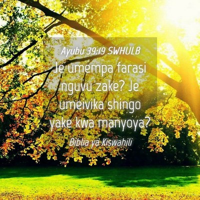Picture 04 - Ayubu 39:19 SWHULB - Je umempa farasi nguvu zake? Je umeivika shingo - Bible Verse Picture