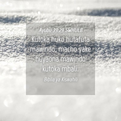 Picture 04 - Ayubu 39:29 SWHULB - Kutoka huko hutafuta mawindo; macho yake huyaona - Bible Verse Picture