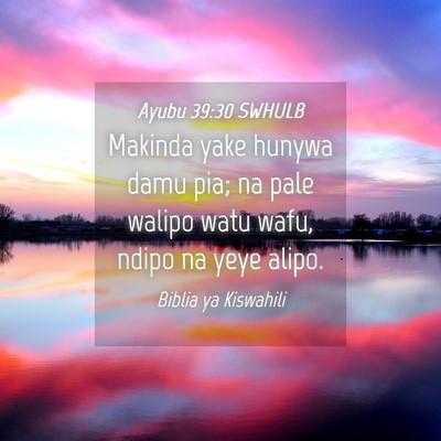 Picture 04 - Ayubu 39:30 SWHULB - Makinda yake hunywa damu pia; na pale walipo watu - Bible Verse Picture