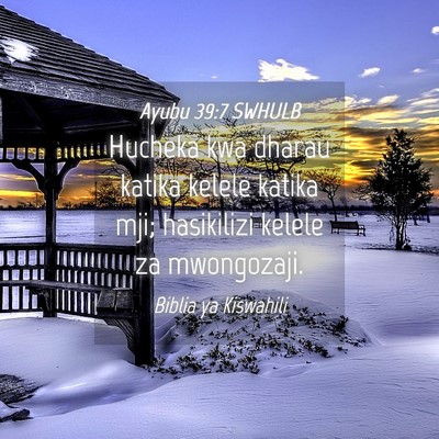Picture 04 - Ayubu 39:7 SWHULB - Hucheka kwa dharau katika kelele katika mji; - Bible Verse Picture