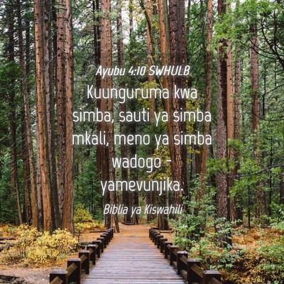 Picture 04 - Ayubu 4:10 SWHULB - Kuunguruma kwa simba, sauti ya simba mkali, meno - Bible Verse Picture