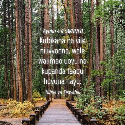 Picture 04 - Ayubu 4:8 SWHULB - Kutokana na vile nilivyoona, wale walimao uovu na - Bible Verse Picture