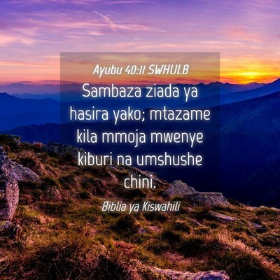 Picture 04 - Ayubu 40:11 SWHULB - Sambaza ziada ya hasira yako; mtazame kila mmoja - Bible Verse Picture