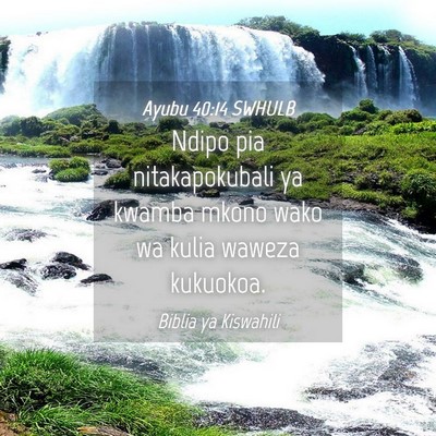 Picture 04 - Ayubu 40:14 SWHULB - Ndipo pia nitakapokubali ya kwamba mkono wako wa - Bible Verse Picture