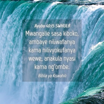 Picture 04 - Ayubu 40:15 SWHULB - Mwangalie sasa kiboko, ambaye niliwafanya kama - Bible Verse Picture