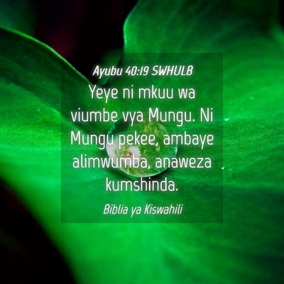 Picture 04 - Ayubu 40:19 SWHULB - Yeye ni mkuu wa viumbe vya Mungu. Ni Mungu pekee, - Bible Verse Picture