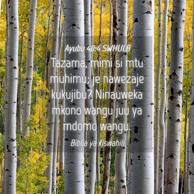 Picture 04 - Ayubu 40:4 SWHULB - Tazama, mimi si mtu muhimu; je nawezaje kukujibu? - Bible Verse Picture