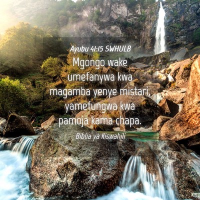 Picture 04 - Ayubu 41:15 SWHULB - Mgongo wake umefanywa kwa magamba yenye mistari, - Bible Verse Picture