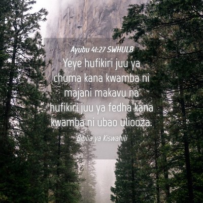 Picture 04 - Ayubu 41:27 SWHULB - Yeye hufikiri juu ya chuma kana kwamba ni majani - Bible Verse Picture