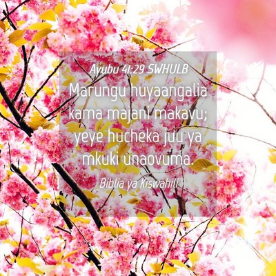 Picture 04 - Ayubu 41:29 SWHULB - Marungu huyaangalia kama majani makavu; yeye - Bible Verse Picture
