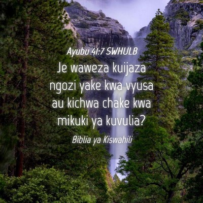 Picture 04 - Ayubu 41:7 SWHULB - Je waweza kuijaza ngozi yake kwa vyusa au kichwa - Bible Verse Picture