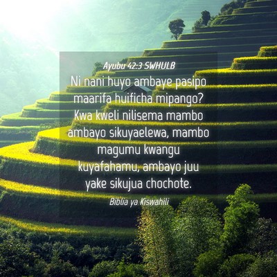 Picture 04 - Ayubu 42:3 SWHULB - Ni nani huyo ambaye pasipo maarifa huificha - Bible Verse Picture