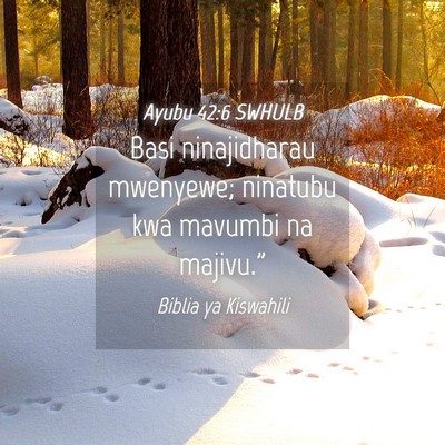 Picture 04 - Ayubu 42:6 SWHULB - Basi ninajidharau mwenyewe; ninatubu kwa mavumbi - Bible Verse Picture