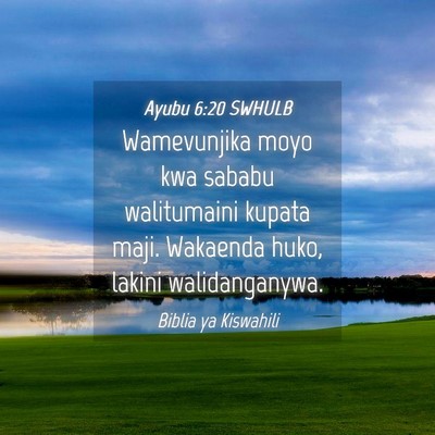 Picture 04 - Ayubu 6:20 SWHULB - Wamevunjika moyo kwa sababu walitumaini kupata - Bible Verse Picture
