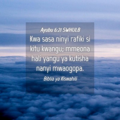 Picture 04 - Ayubu 6:21 SWHULB - Kwa sasa ninyi rafiki si kitu kwangu; mmeona hali - Bible Verse Picture