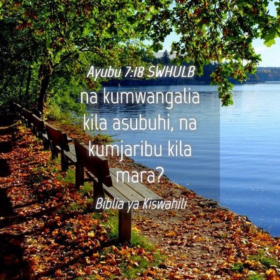 Picture 04 - Ayubu 7:18 SWHULB - na kumwangalia kila asubuhi, na kumjaribu kila - Bible Verse Picture