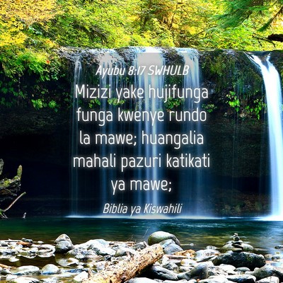 Picture 04 - Ayubu 8:17 SWHULB - Mizizi yake hujifunga funga kwenye rundo la mawe; - Bible Verse Picture