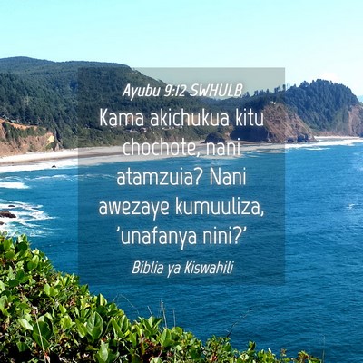 Picture 04 - Ayubu 9:12 SWHULB - Kama akichukua kitu chochote, nani atamzuia? Nani - Bible Verse Picture
