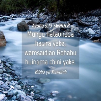 Picture 04 - Ayubu 9:13 SWHULB - Mungu hataondoa hasira yake; wamsaidiao Rahabu - Bible Verse Picture