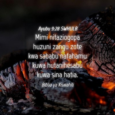 Picture 04 - Ayubu 9:28 SWHULB - Mimi nitaziogopa huzuni zangu zote kwa sababu - Bible Verse Picture