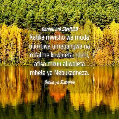 Picture 04 - Danieli 1:18 SWHULB - Katika mwisho wa muda uliokuwa umepangwa na - Bible Verse Picture